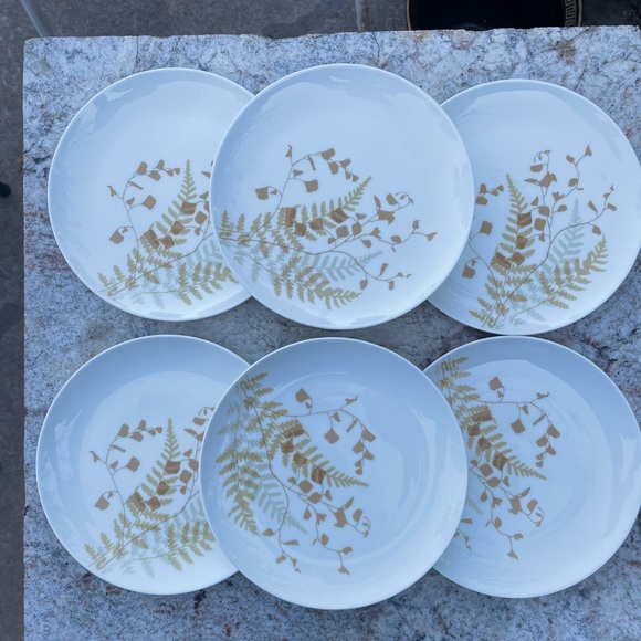Other - Six Mikasa 6” plates one china “Lacy fern”